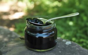 Does Shilajit Expire